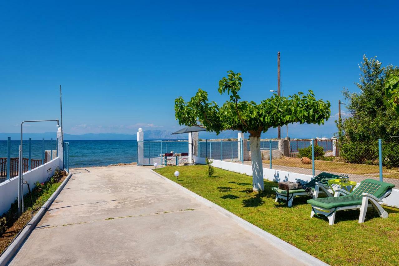 فيلا Kiko, The Coastline House كاتو أكيا المظهر الخارجي الصورة