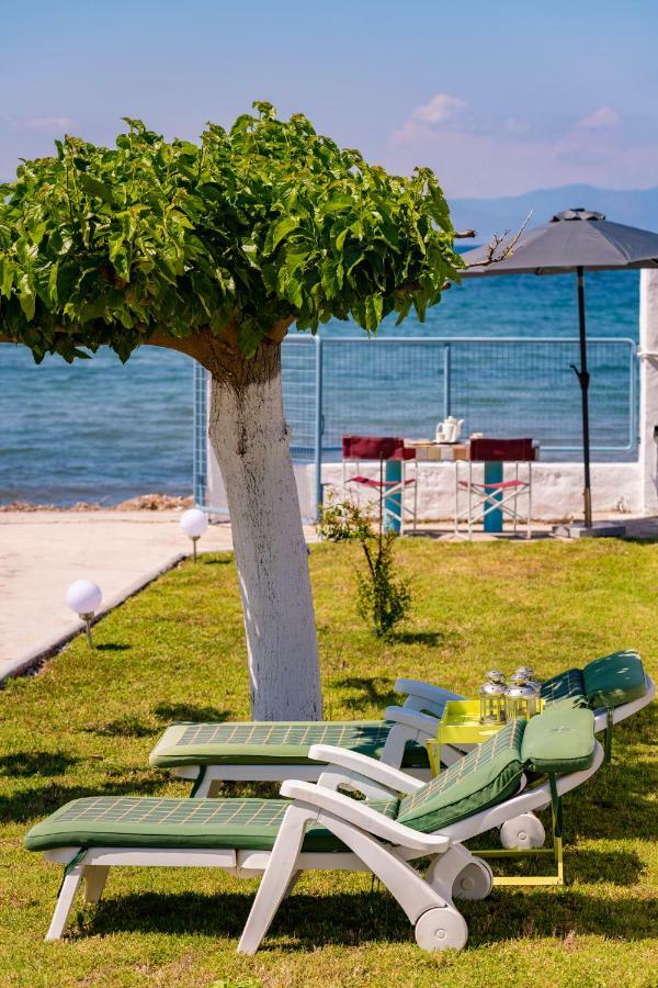 فيلا Kiko, The Coastline House كاتو أكيا المظهر الخارجي الصورة